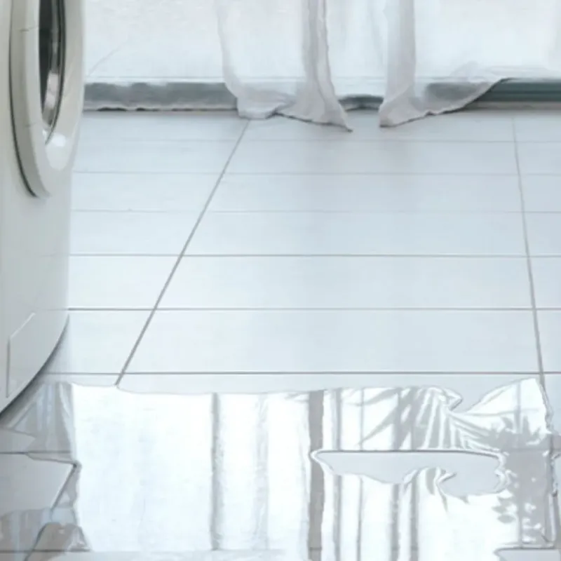 Appliance Leak Cleanup in Martin County, KY