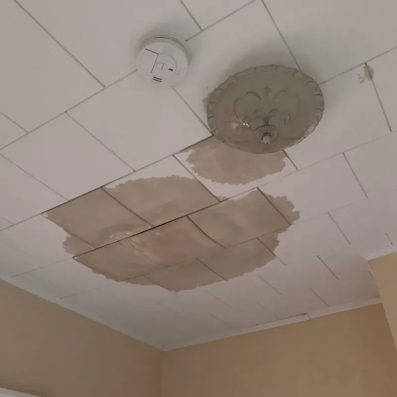 Ceiling Water Damage Repair in Martin County, KY