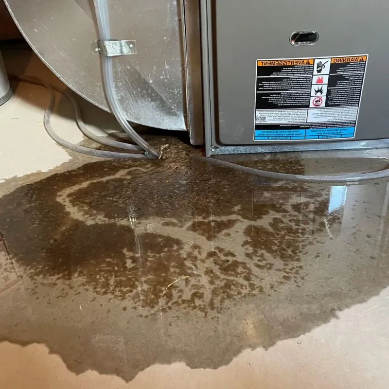 Pipe Burst and Leak Restoration in Martin County, KY