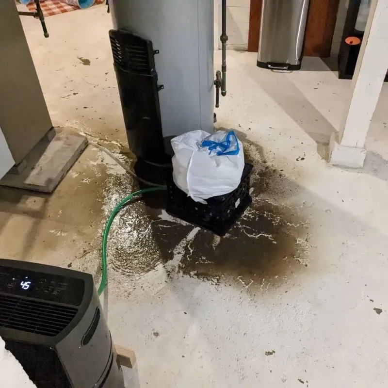 Sewage Backup Cleanup Service in Martin County, KY